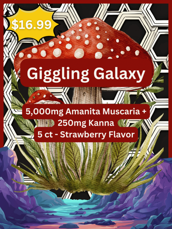 Giggling Galaxy 5,000mg Amanita + 250mg Kanna 5pk